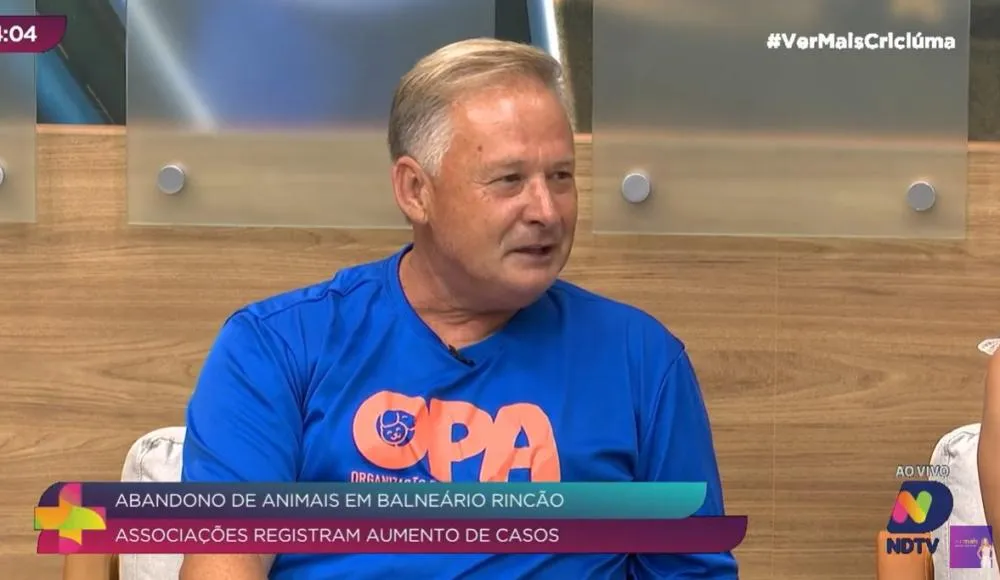 Aumento do abandono de animais preocupa associações durante a temporada de verão em Balneário Rincão
